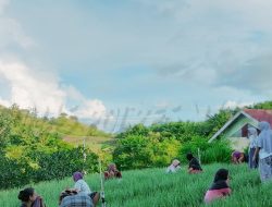 Wisata Pamboboran Potensi Beri Manfaat